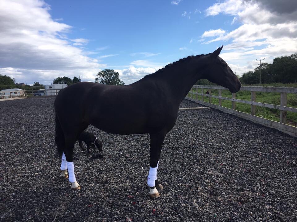 This image has an empty alt attribute; its file name is img_4880.jpg