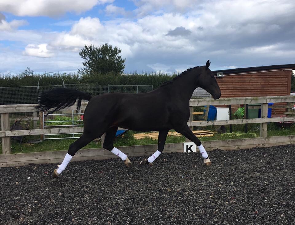 This image has an empty alt attribute; its file name is img_4881.jpg