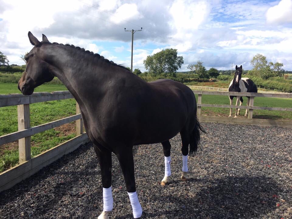 This image has an empty alt attribute; its file name is img_4882.jpg