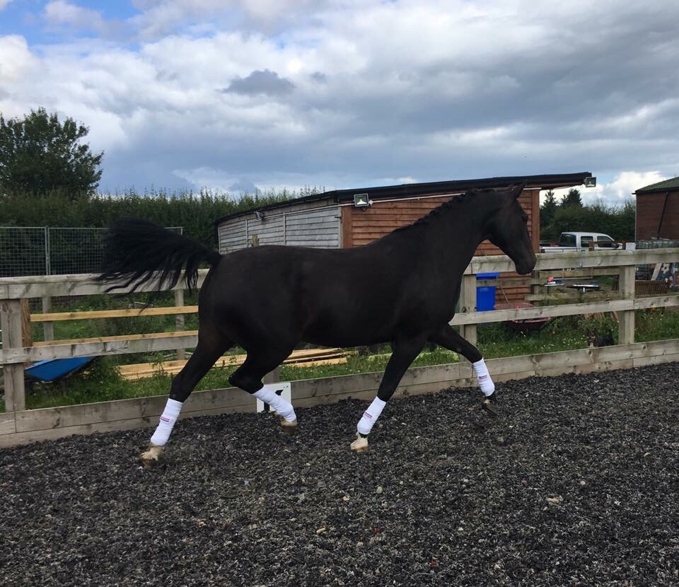 This image has an empty alt attribute; its file name is img_4883.jpg