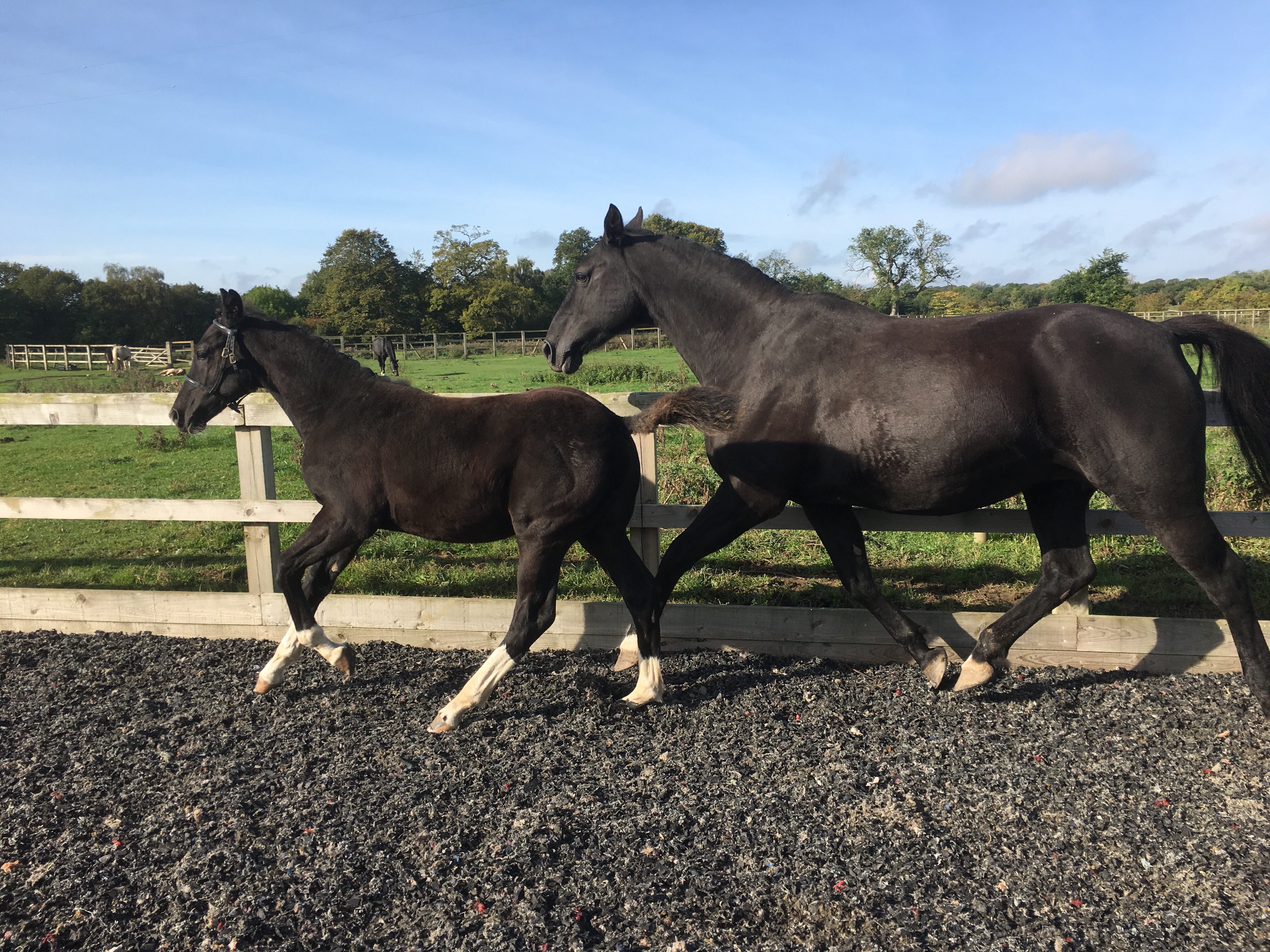 This image has an empty alt attribute; its file name is img_5084.jpg