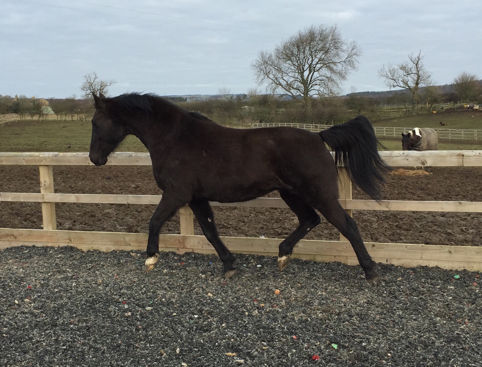 This image has an empty alt attribute; its file name is img_6020.jpg