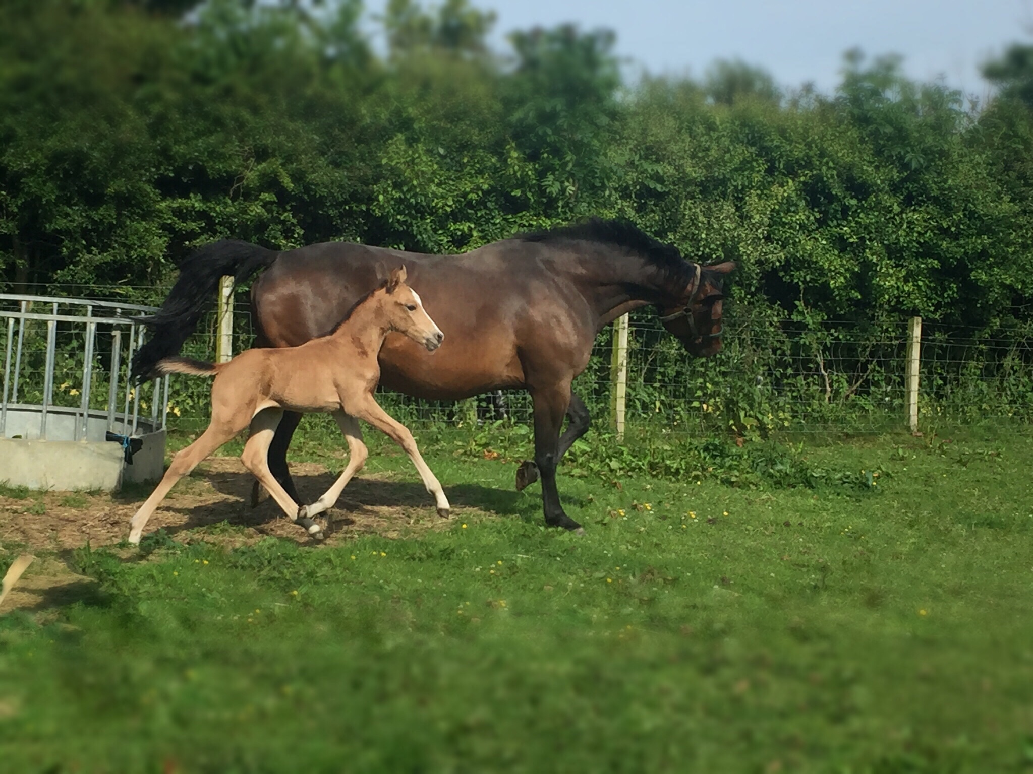 This image has an empty alt attribute; its file name is img_6195.jpg